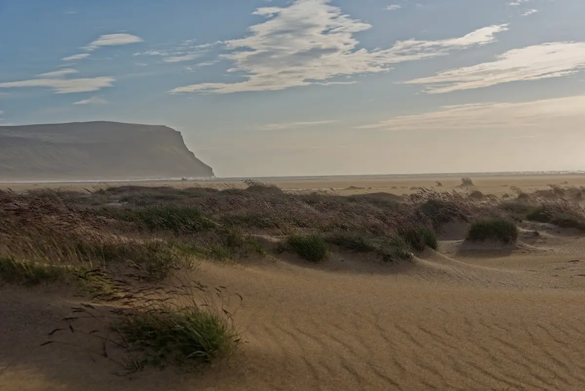 Látrabjarg – Foto 21