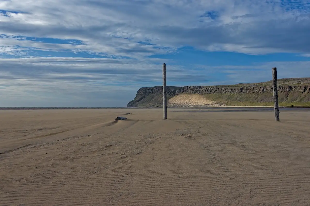 Látrabjarg – Foto 23