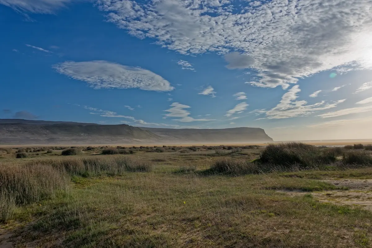 Látrabjarg – Foto 24