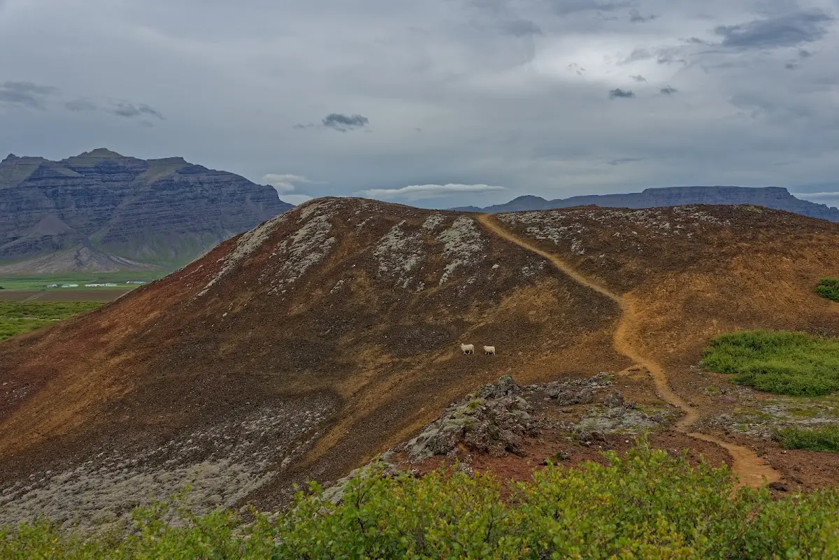 Snæfellsnes – Foto 32