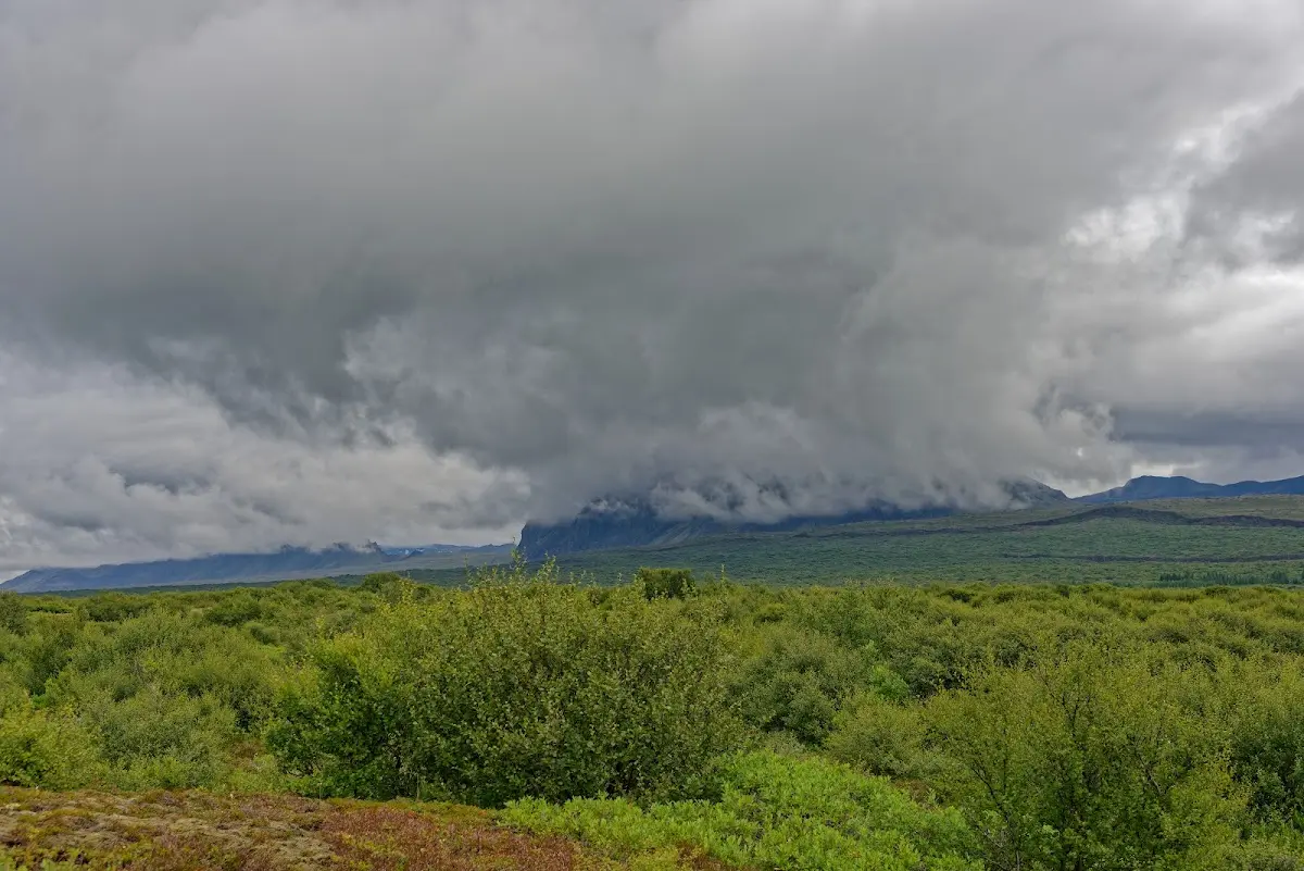 Þingvellir – Foto 26