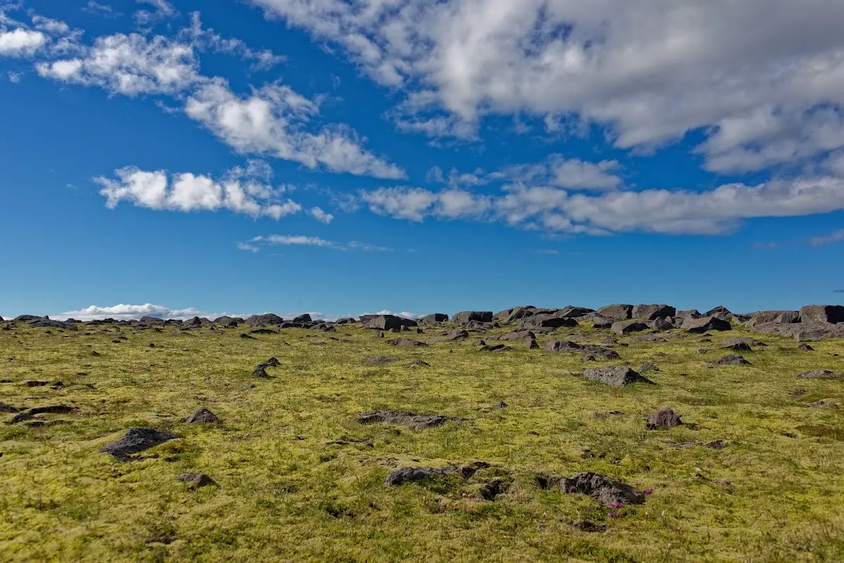 Seljalandsfoss – Foto 7