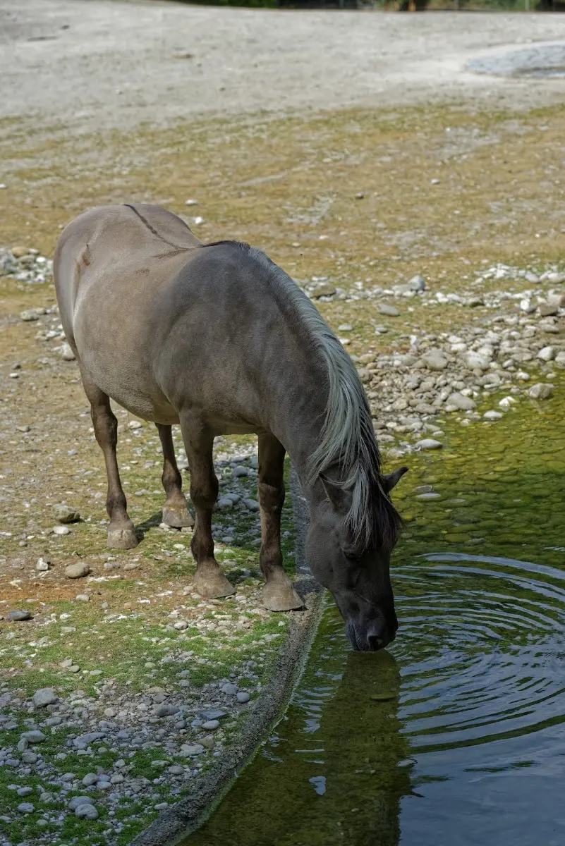 Tierpark Hellabrunn 2014 – Foto 7