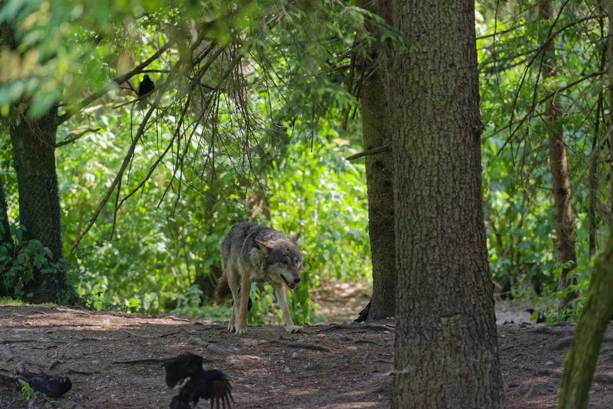 Tierpark Hellabrunn 2014 – Foto 8