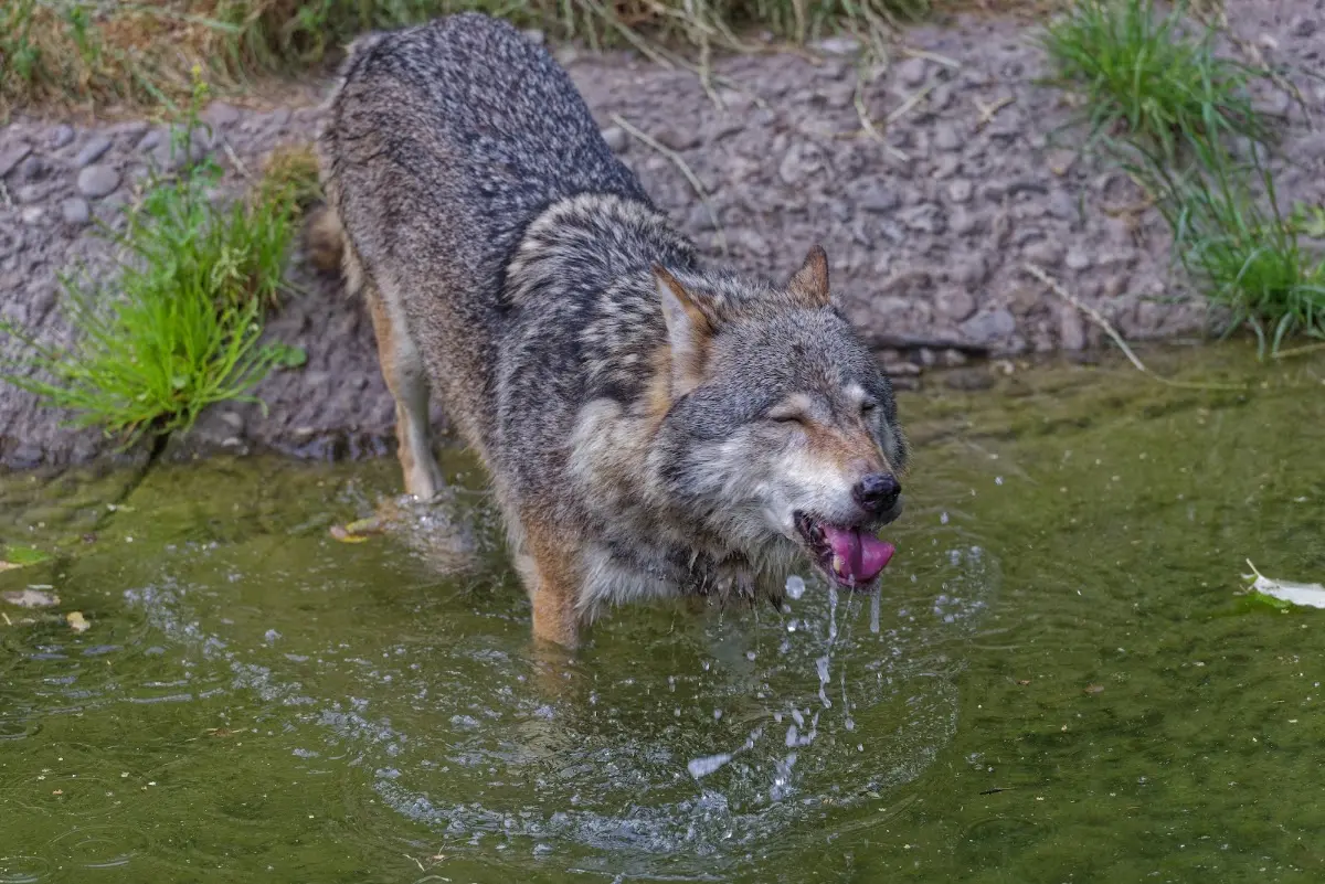 Tierpark Hellabrunn 2014 – Foto 9