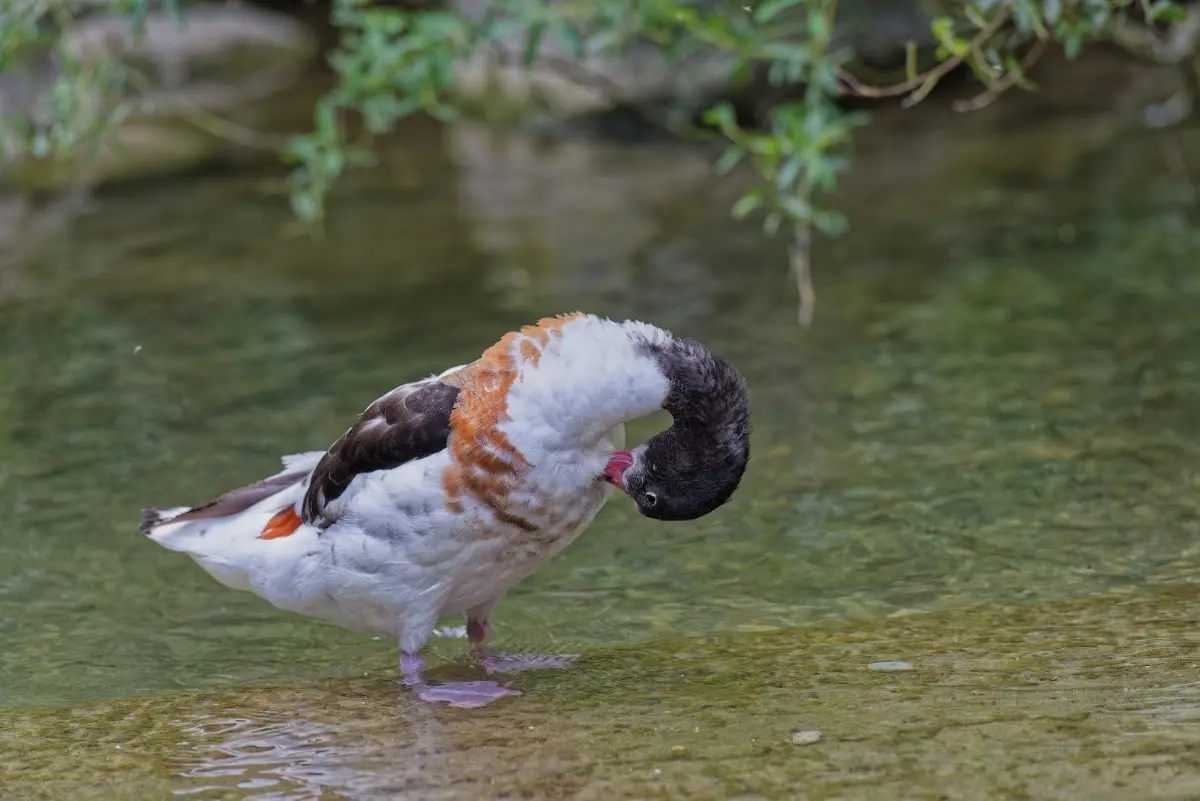 Tierpark Hellabrunn 2014 – Foto 14