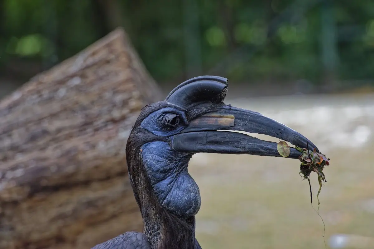 Tierpark Hellabrunn 2014 – Foto 16