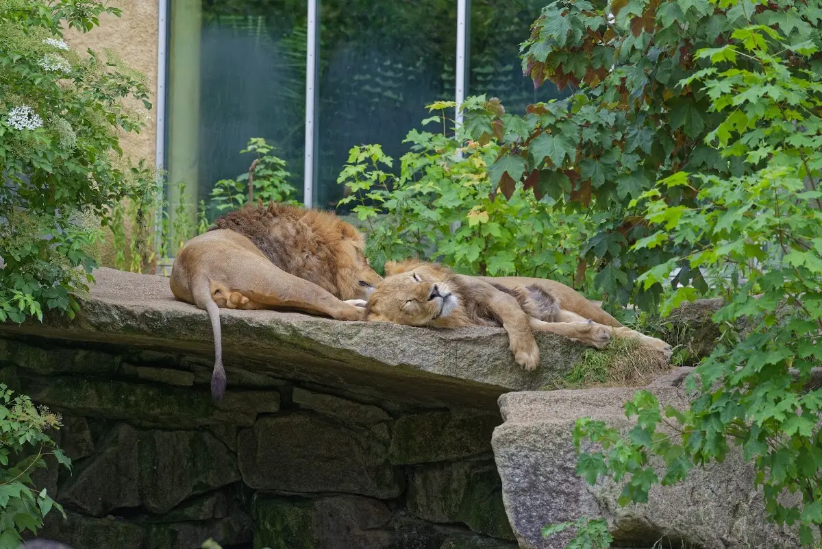 Tierpark Hellabrunn 2014 – Foto 20
