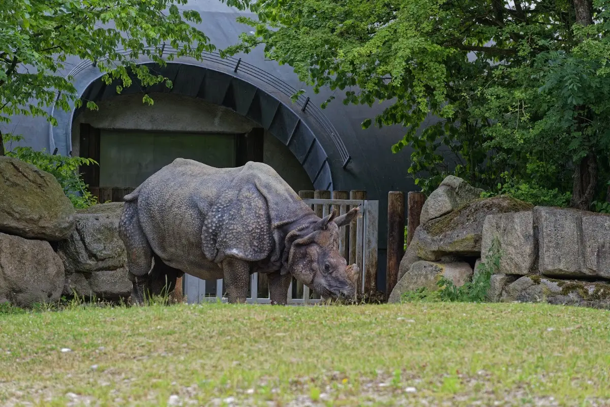 Tierpark Hellabrunn 2014 – Foto 28