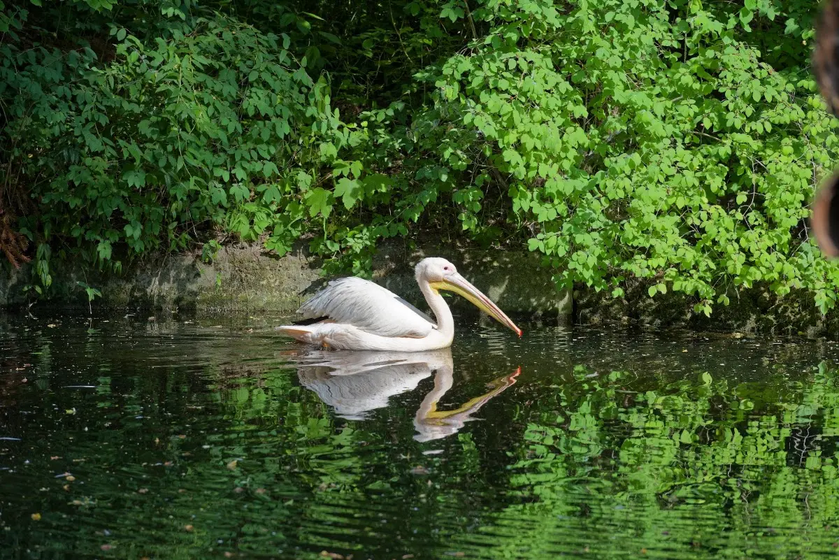 Tierpark Hellabrunn 2014 – Foto 32