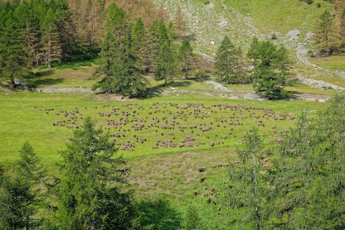 Col de la Bonette – Foto 1
