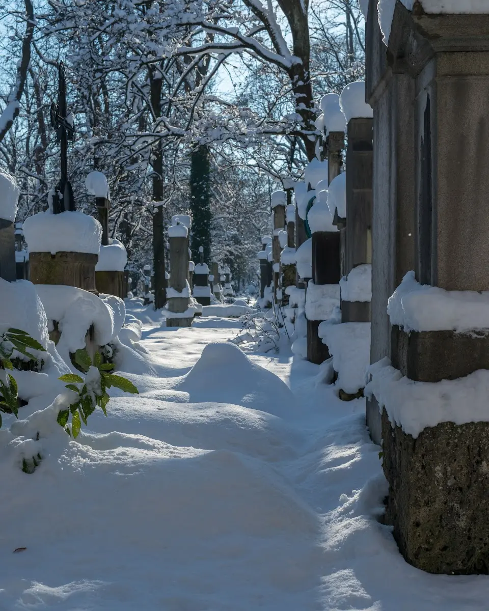Schnee in München - Isar und Südfriedhof – Foto 1
