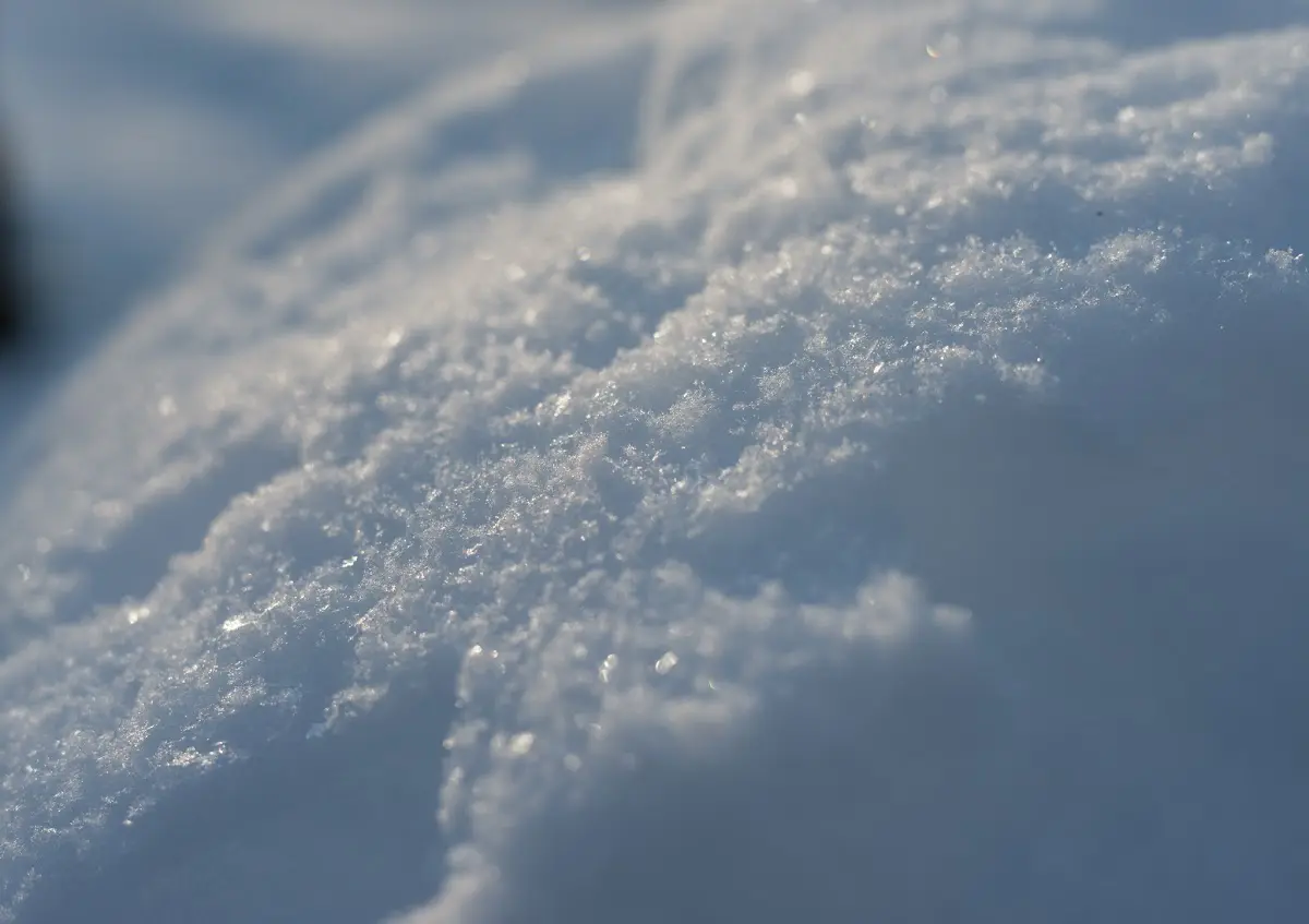 Schnee in München - Isar und Südfriedhof – Foto 4