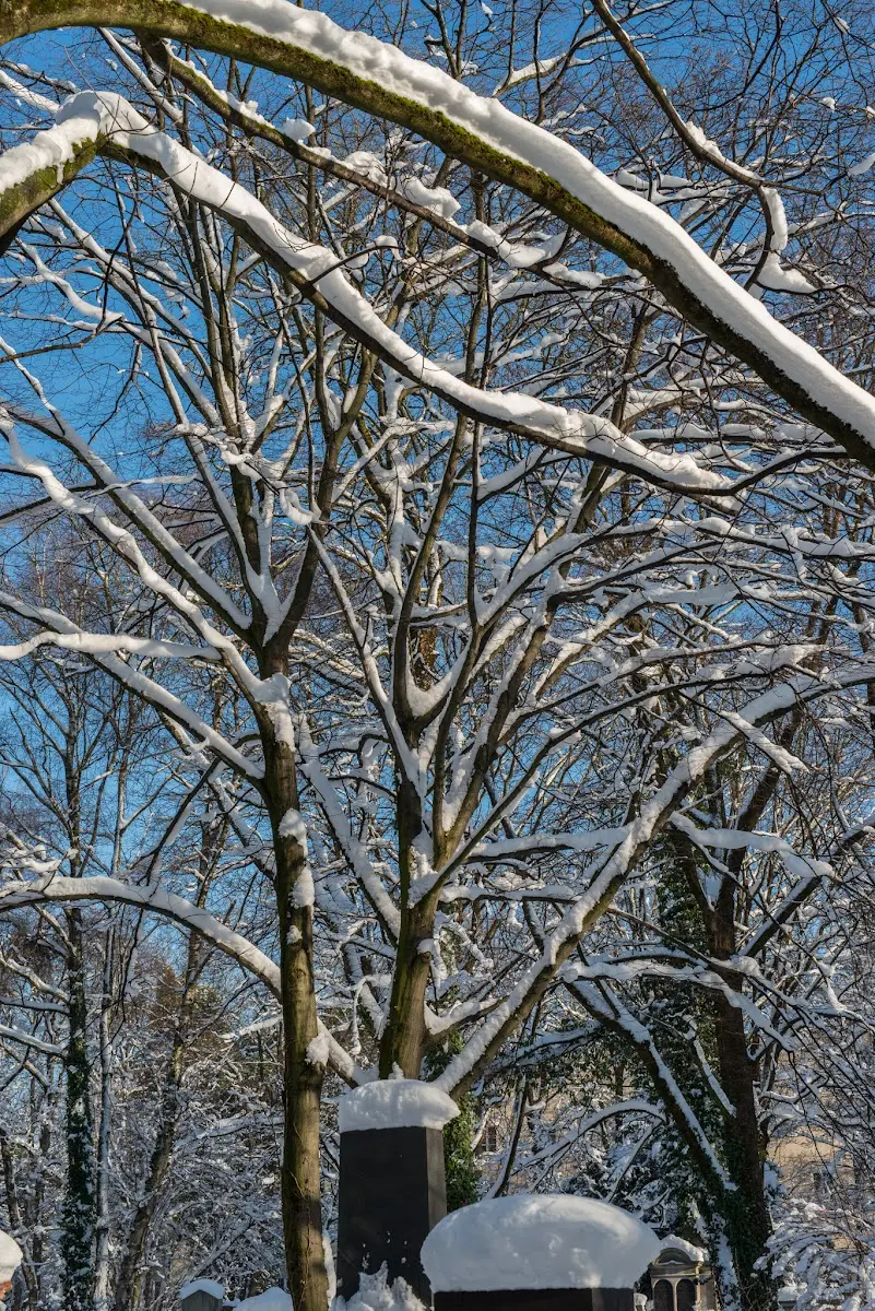 Schnee in München - Isar und Südfriedhof – Foto 7