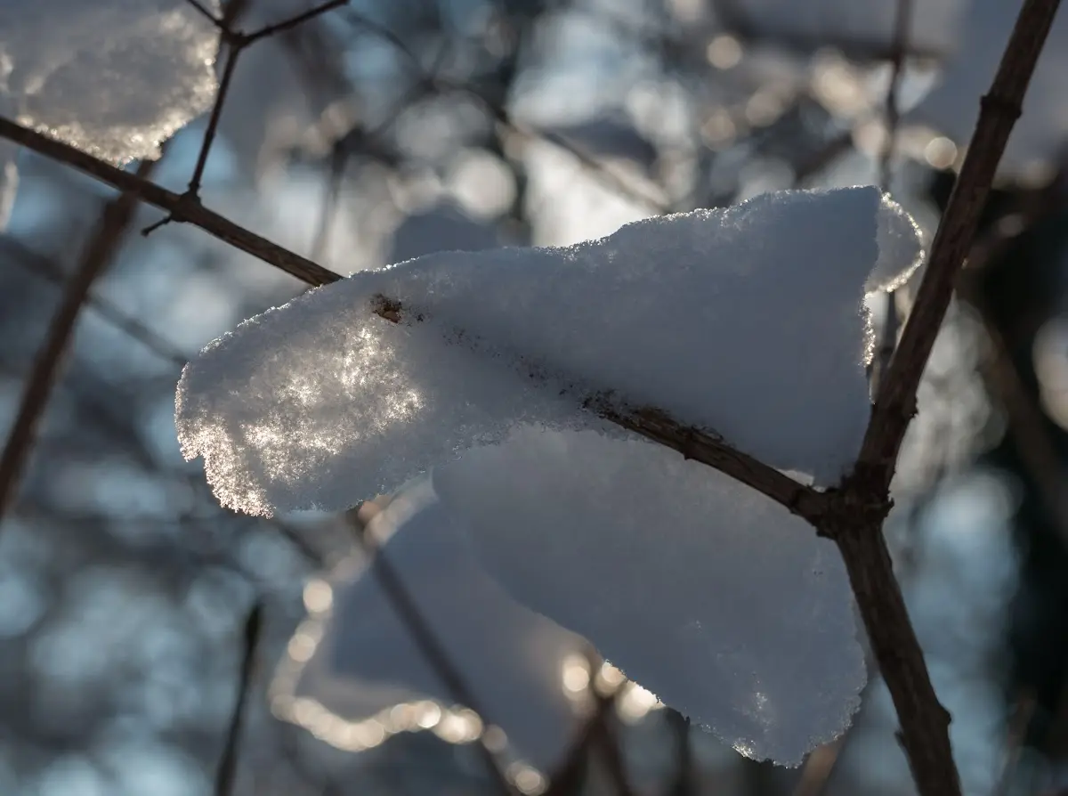 Schnee in München - Isar und Südfriedhof – Foto 8