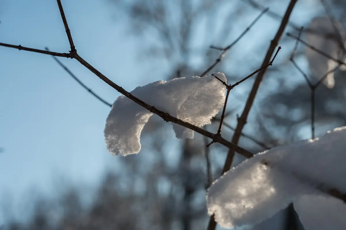 Schnee in München - Isar und Südfriedhof – Foto 9