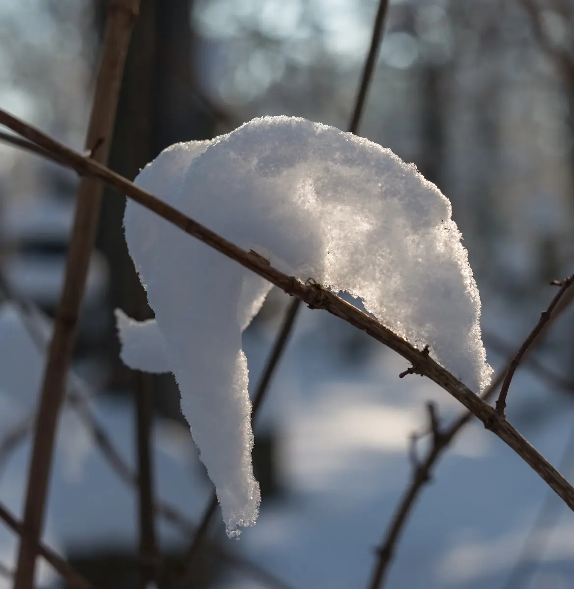 Schnee in München - Isar und Südfriedhof – Foto 10