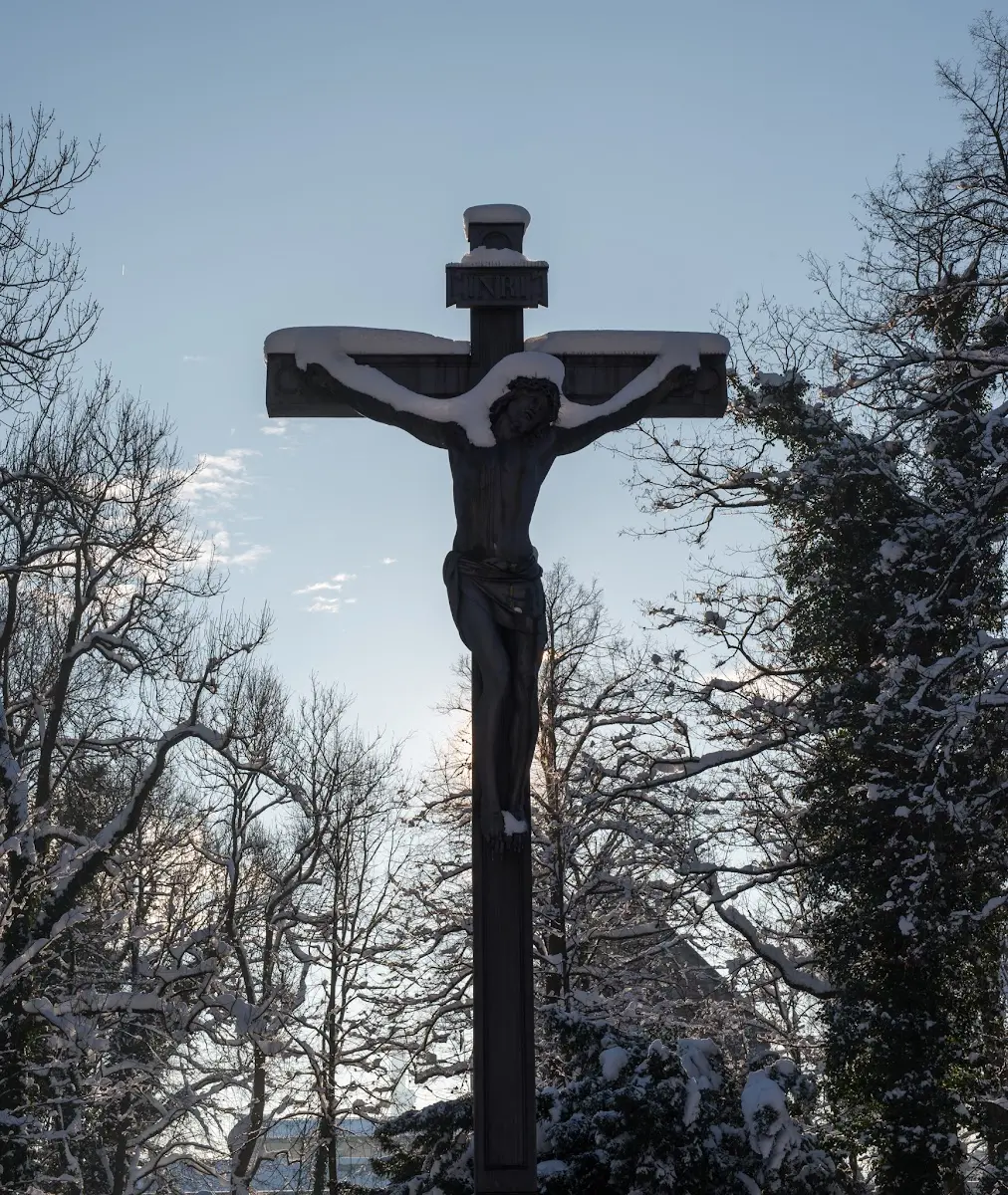 Schnee in München - Isar und Südfriedhof – Foto 15
