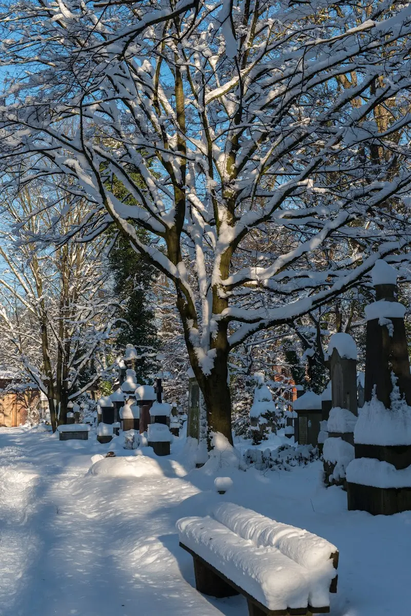 Schnee in München - Isar und Südfriedhof – Foto 18