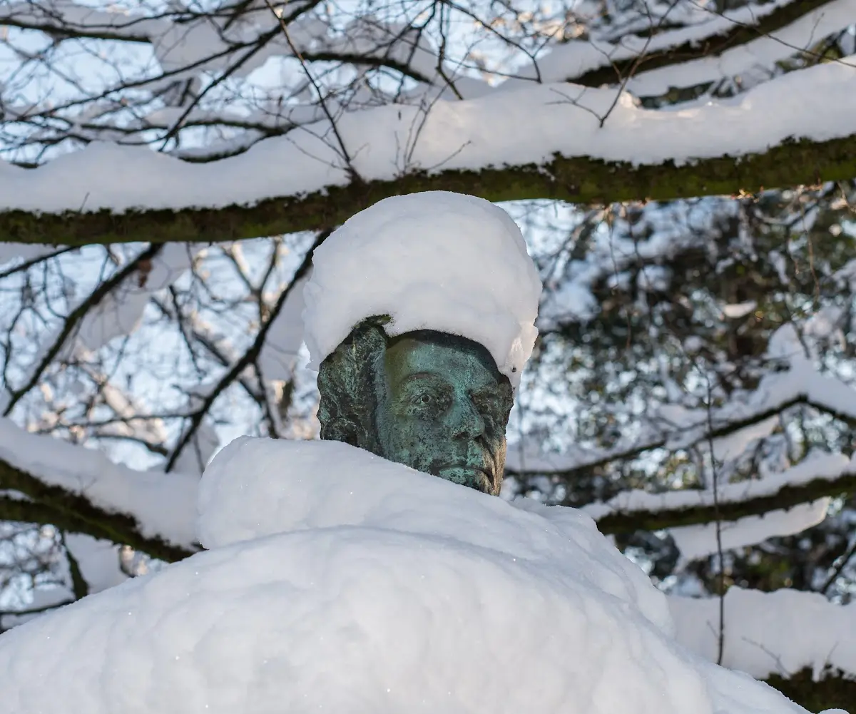 Schnee in München - Isar und Südfriedhof – Foto 19