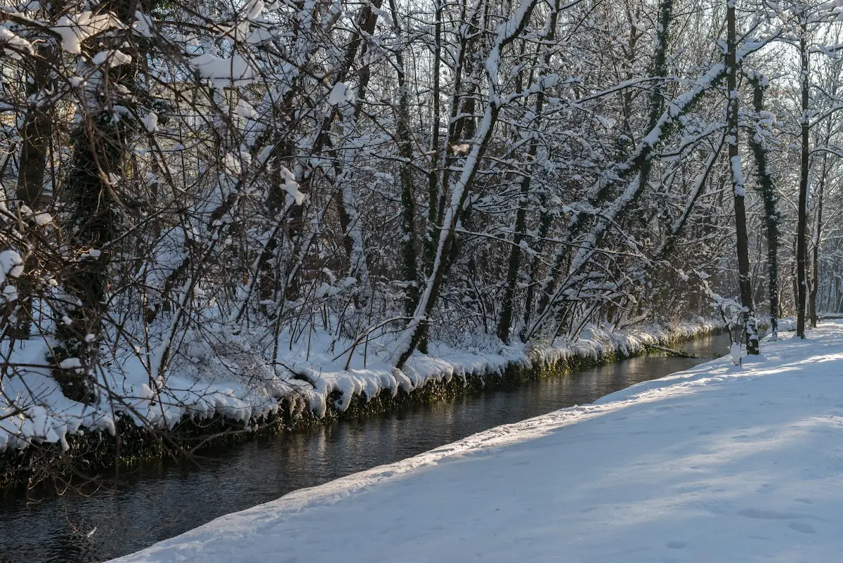 Schnee in München - Isar und Südfriedhof – Foto 20