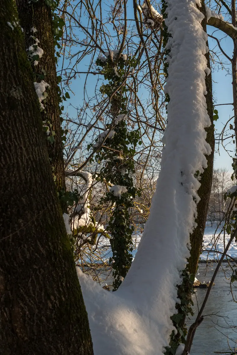 Schnee in München - Isar und Südfriedhof – Foto 21