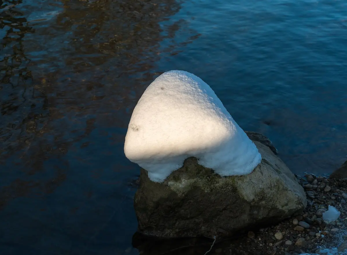 Schnee in München - Isar und Südfriedhof – Foto 22