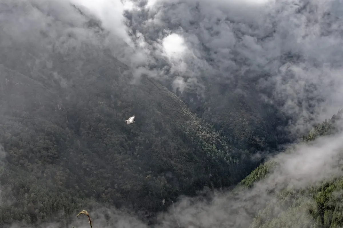 Tengboche – photo 1