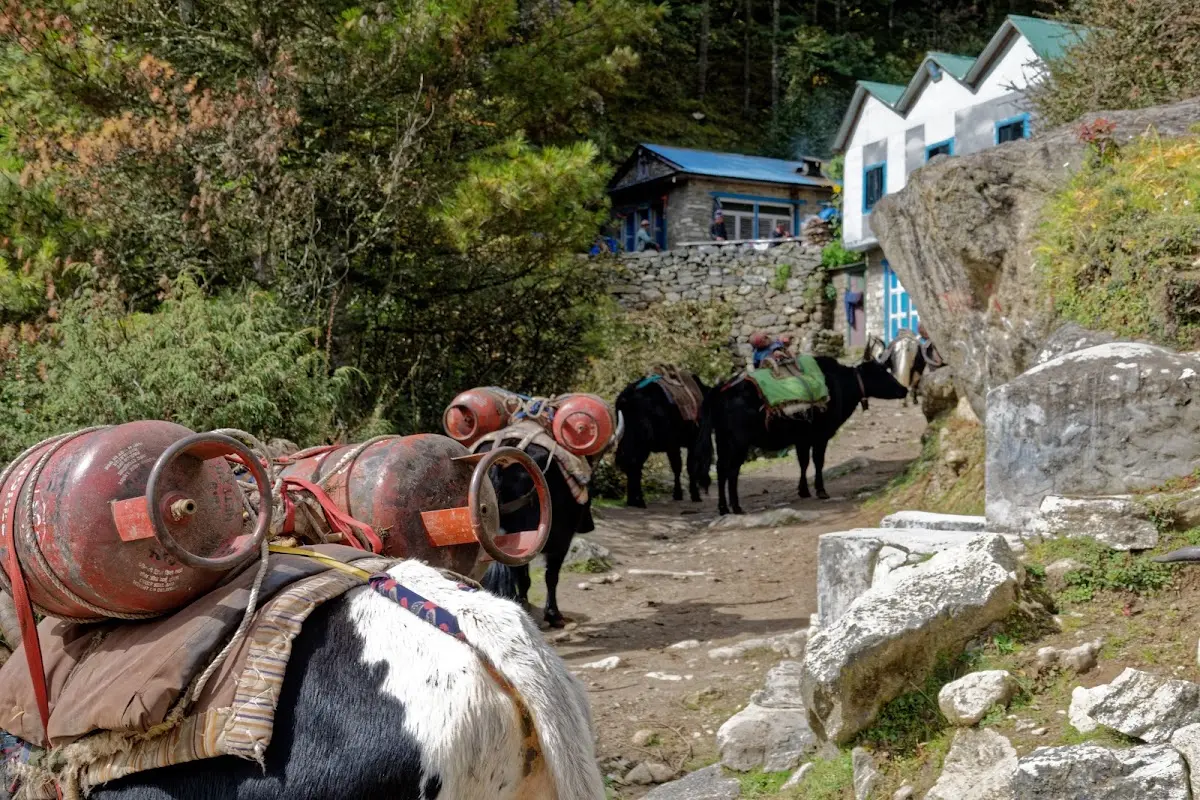Tengboche – photo 3