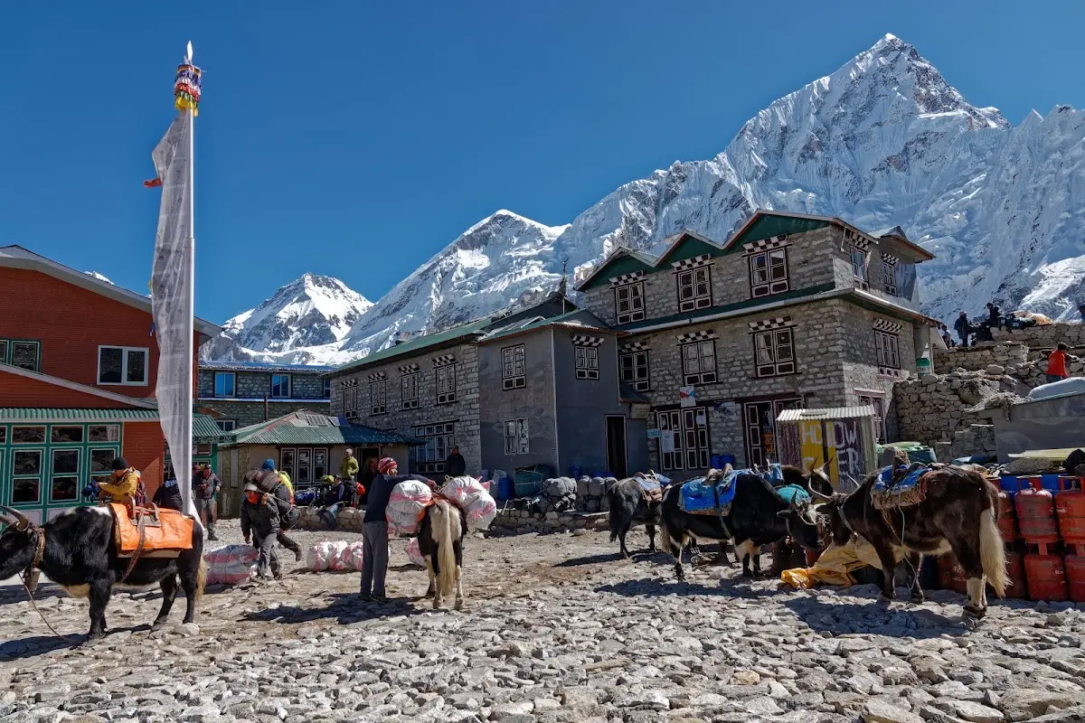 Kala Patthar – photo 6