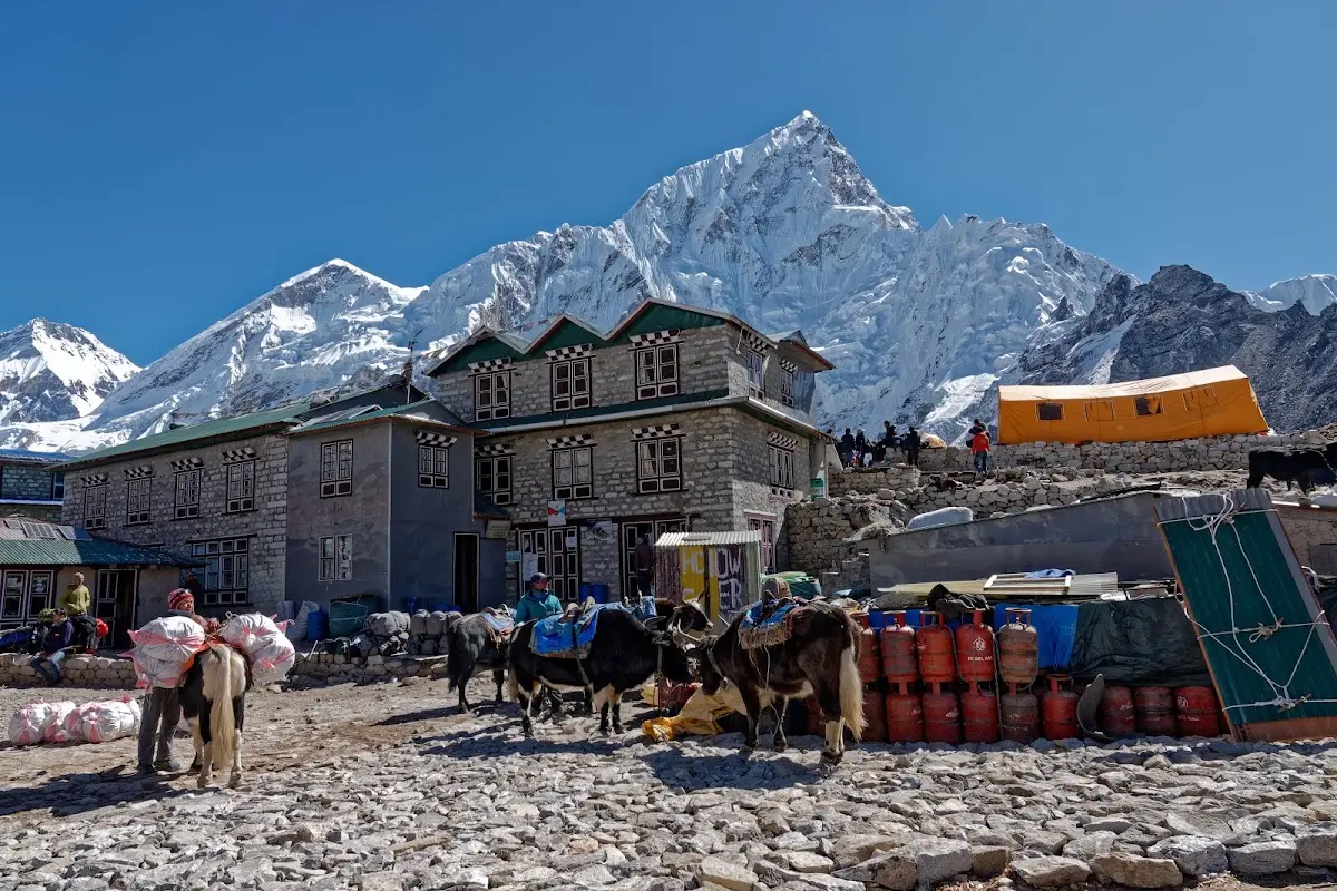 Kala Patthar – photo 8