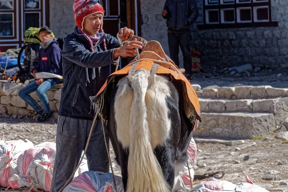 Kala Patthar – photo 7